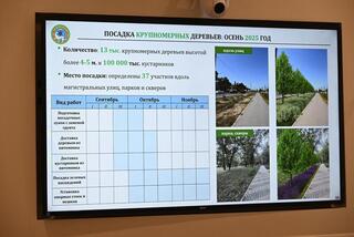 В Алматы планируется высадить 13 тыс. крупномерных деревьев в рамках акции «Таза Қазақстан»