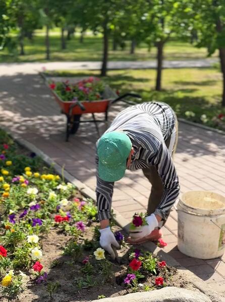 Озеленение Караганды: свыше полутора миллионов цветов украсят город этим летом