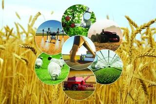 В рамках программы «Ауыл аманаты» будет реализовано более 100 проектов