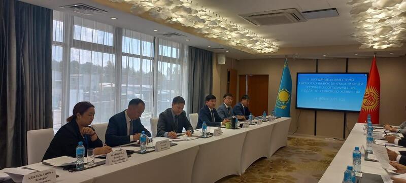 Казахстан и Кыргызстан активизируют приграничную торговлю агропродукцией