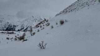 МЧС предупреждает об опасности схода лавин