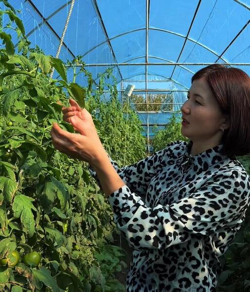 С одной теплицы до семейного бизнеса: жительница Актюбинской области расширила хозяйство вдвое