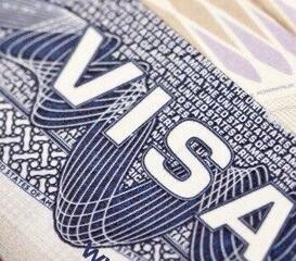 Задержано лицо, причинившее особо крупный ущерб свыше 60 потерпевшим