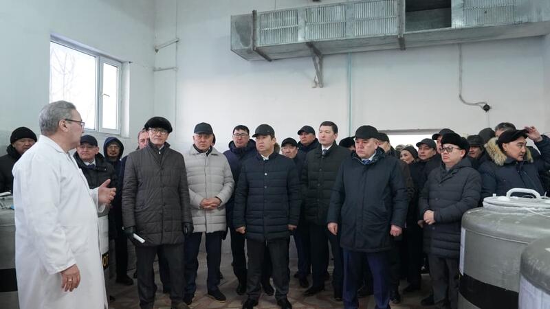 Рассмотрены актуальные вопросы развития племенного животноводства