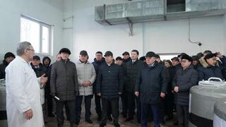 Рассмотрены актуальные вопросы развития племенного животноводства 