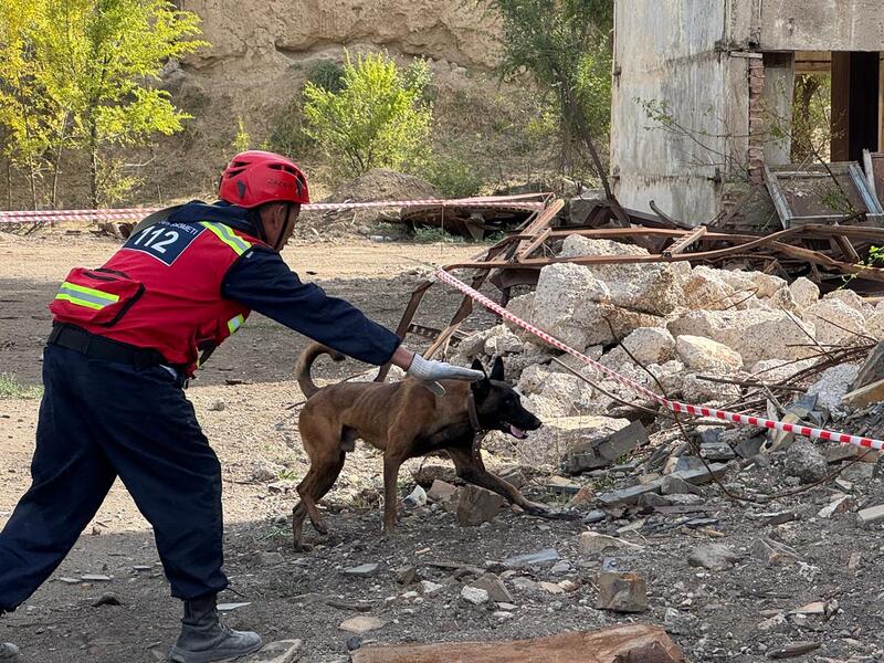 Будущее уже наступило