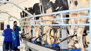 84 инвестпроекта реализованы в рамках программы тиражирования опыта СКО