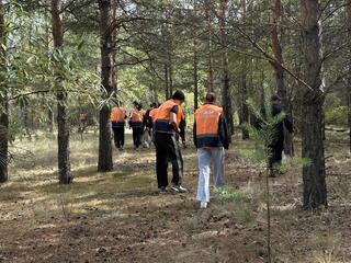 Всемирный день чистоты