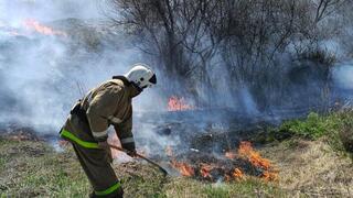 В Восточно-Казахстанской области пожарные ликвидировали более 90 случаев загорания травы и мусора