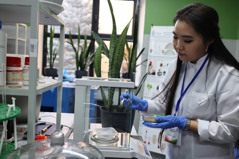 Ученые Сатпаева разработали ценные материалы из сельхозотходов