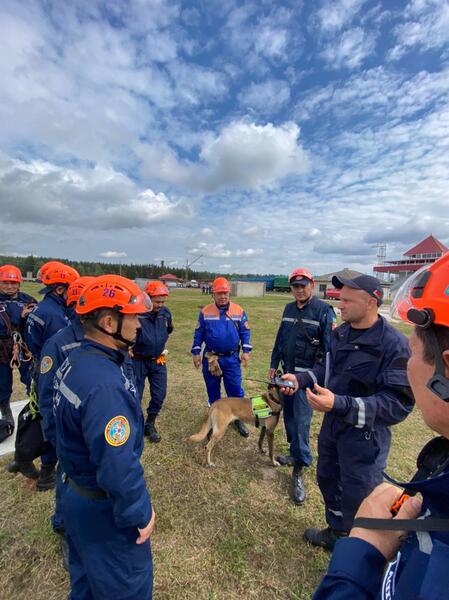Спасатели МЧС участвуют в специальных учениях Скала-2023