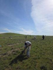 ТУРКЕСТАН: В САРЫАГАШЕ ПРОШЕЛ ОБЩЕРАЙОННЫЙ СУББОТНИК