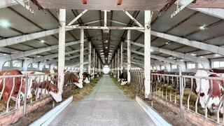 В Казахстане запустят льготное кредитование для аграриев