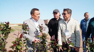 19 инвестпроектов реализуются в Шортандинском районе