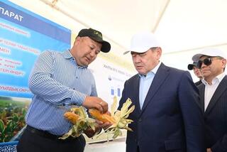 В Шиелийском районе презентовали проекты по выращиванию кукурузы на водосберегающих технологиях