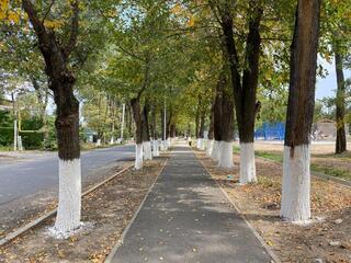 В области Жетісу в этом году в рамках программы «Таза Қазақстан» благоустроят 21 зеленую зону