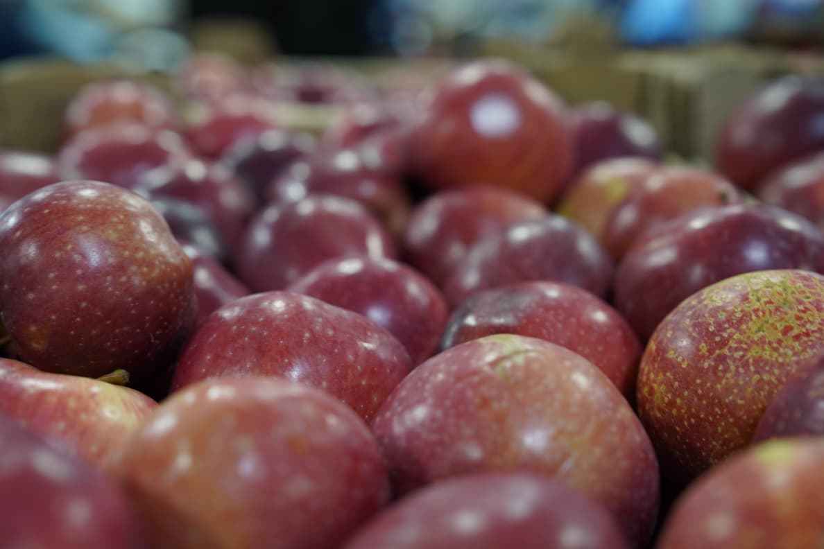 Айдарбек Сапаров ознакомился с ходом строительства завода «PepsiCo Central Asia»