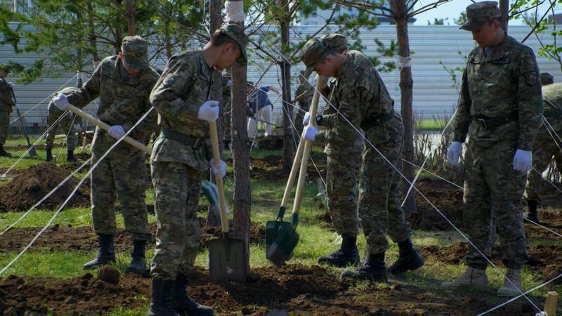 Сосны, яблони, груши: в районе Байконыр появится новый зелёный лес