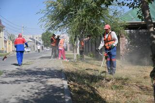 В ШЫМКЕНТЕ ПРОШЛА ЭКОЛОГИЧЕСКАЯ АКЦИЯ В РАМКАХ