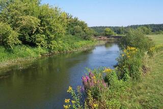 Касательно КХ «Qaratas»