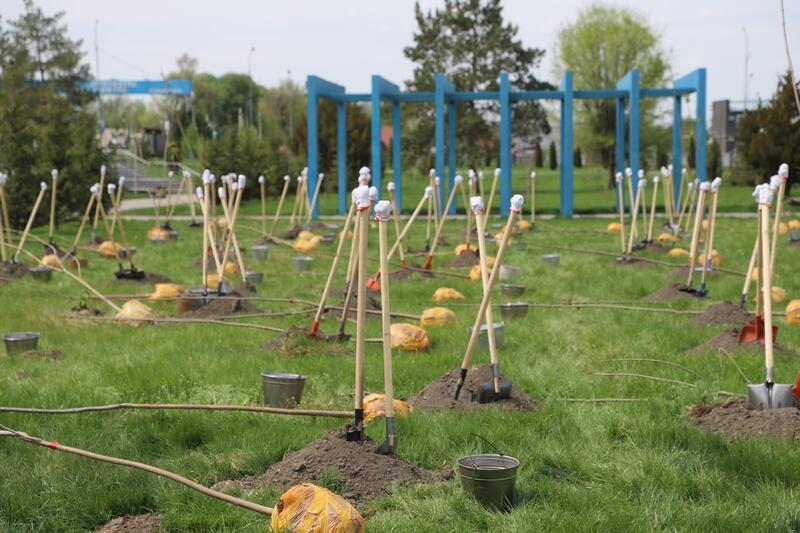 Итоги года в Жетісу: в рамках программы «Таза Қазақстан» создано 11 новых парков и 5 скверов