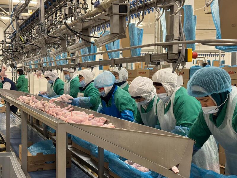 В Алматинской области наращиваются производственные мощности и расширяется экспорт агропромышленной продукции