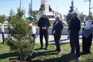 В областном центре ВКО в рамках экоакции высажено 250 саженцев