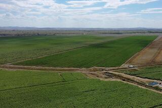 Посевные площади в области Абай увеличились на 22 тысячи гектаров