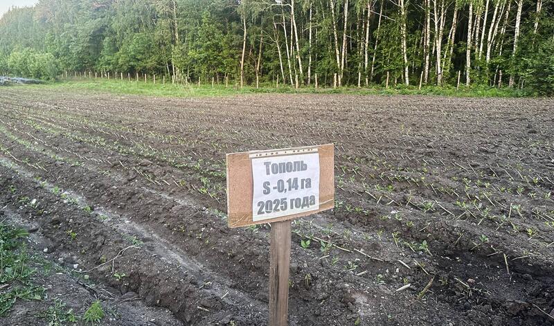 Руководство минэкологии с рабочей поездкой посетило ВКО