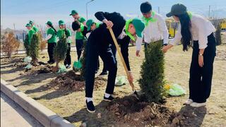 В преддверии Наурыза прошли посадки деревьев в нескольких районах Алматы