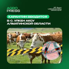 Карантин вводится в с. Улкен Аксу Алматинской области