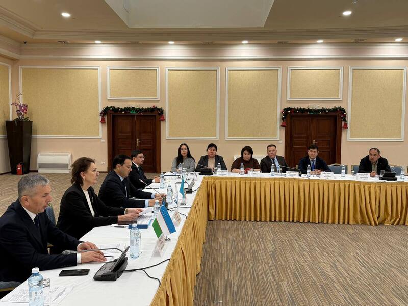 Восьмое заседание Казахстанско-узбекистанской совместной рабочей группы (Комиссии) по вопросам охраны окружающей среды и качества вод бассейна реки Сырдарья