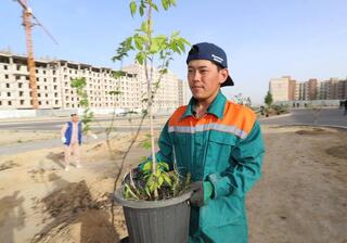 «Таза Қазақстан»: аким Мангистауской области совместно с жителями посадил деревья в аллее универсальной библиотеки