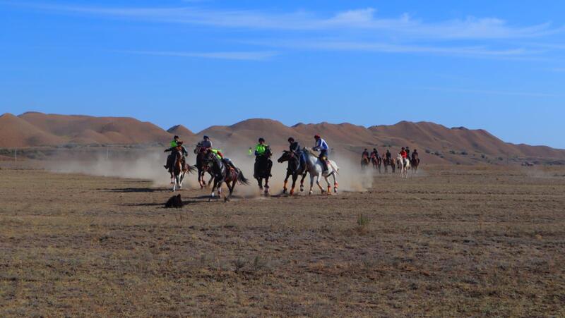 В Аркалыке стартовали национальные конноспортивные игры