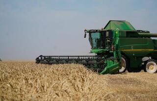 Акмолинские аграрии собрали рекордных 5 миллионов тонн зерна