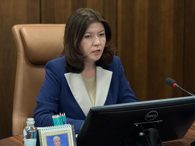 Жулдыз Сулейменова: «Новая Конституция - правовая основа Справедливого Казахстана»