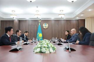 Казахстан и Япония обсудили перспективы сотрудничества в рамках механизма совместного кредитования JCM