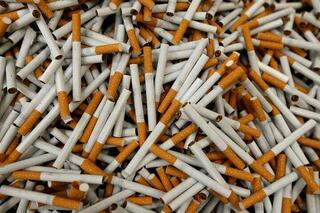 Контрафактные сигареты на 2,7 млрд тенге выявили в г.Семей