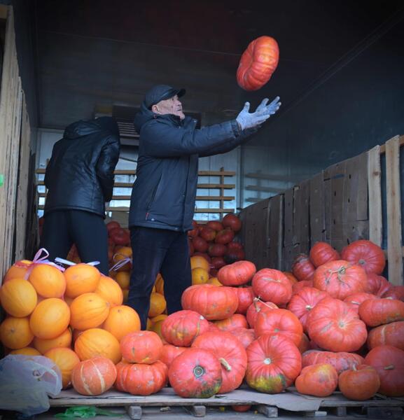 Павлодарский вкус – на столичные рынки: сельхозярмарка в Астане прошла с аншлагом