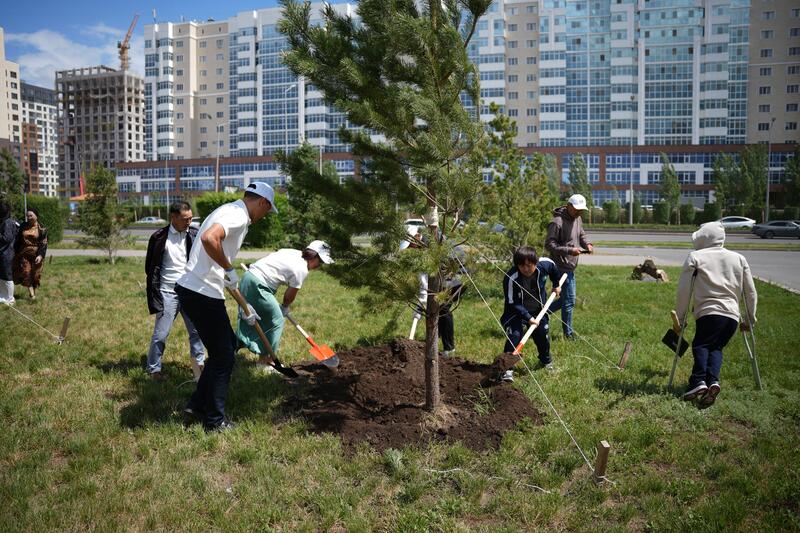 «Таза Қазақстан»: столичные параспортсмены поддержали экоакцию и высадили деревья в Астане