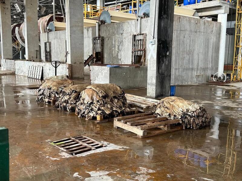 В Западно-Казахстанской области будут перерабатывать более 800 тысяч шкур в год