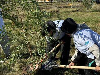 Эко-будущее начинается с лопаты: как Шахтинск поддержал «Таза Қазақстан»