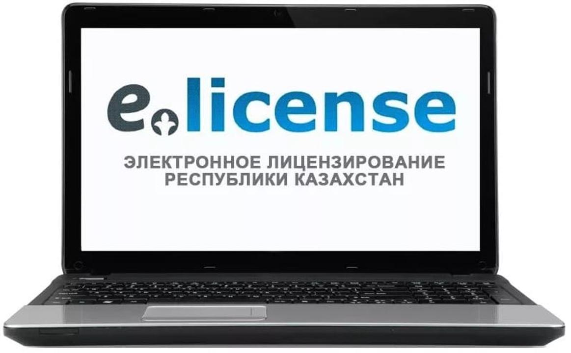 Порядок выдачи разрешения на вырубку деревьев