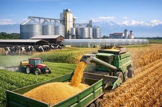 В Алматинской области реализуют 7 проектов в агропромышленном комплексе на сумму 44,6 млрд тенге