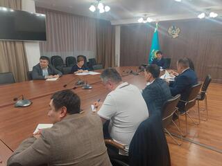 Государственные органы усилили контроль за ввозом и реализацией куриных яиц в РК