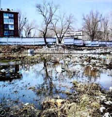 Аким ВКО поручил ликвидировать все стихийные свалки в области