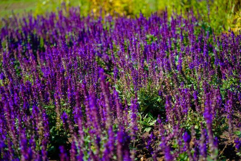 В районе «Байконыр» на месте пустыря появился современный сквер