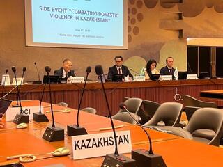 С начала года в Казахстане наказано свыше 46 тыс. домашних агрессоров – Омбудсмен