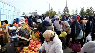 Более 140 производителей из двух областей представили продукцию на сельскохозяйственной ярмарке в Астане