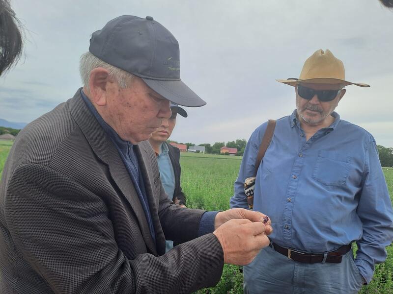 КазНИИЗиР и ПРООН объединяют усилия в борьбе с деградацией земель